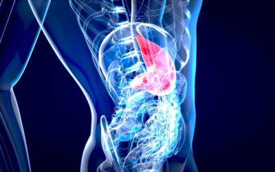 Tratamiento del esófago de Barrett con la técnica HALO