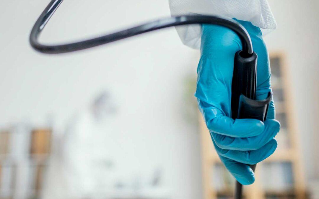 ¿Endoscopias digestivas duele? Todo lo que necesitas saber