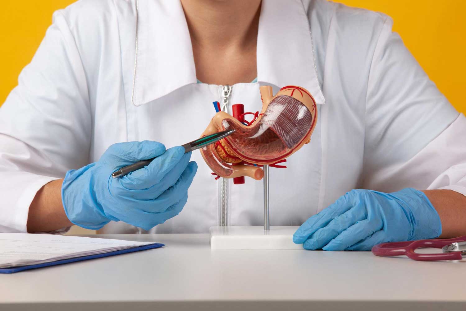 endoscopias cerca de mi barcelona